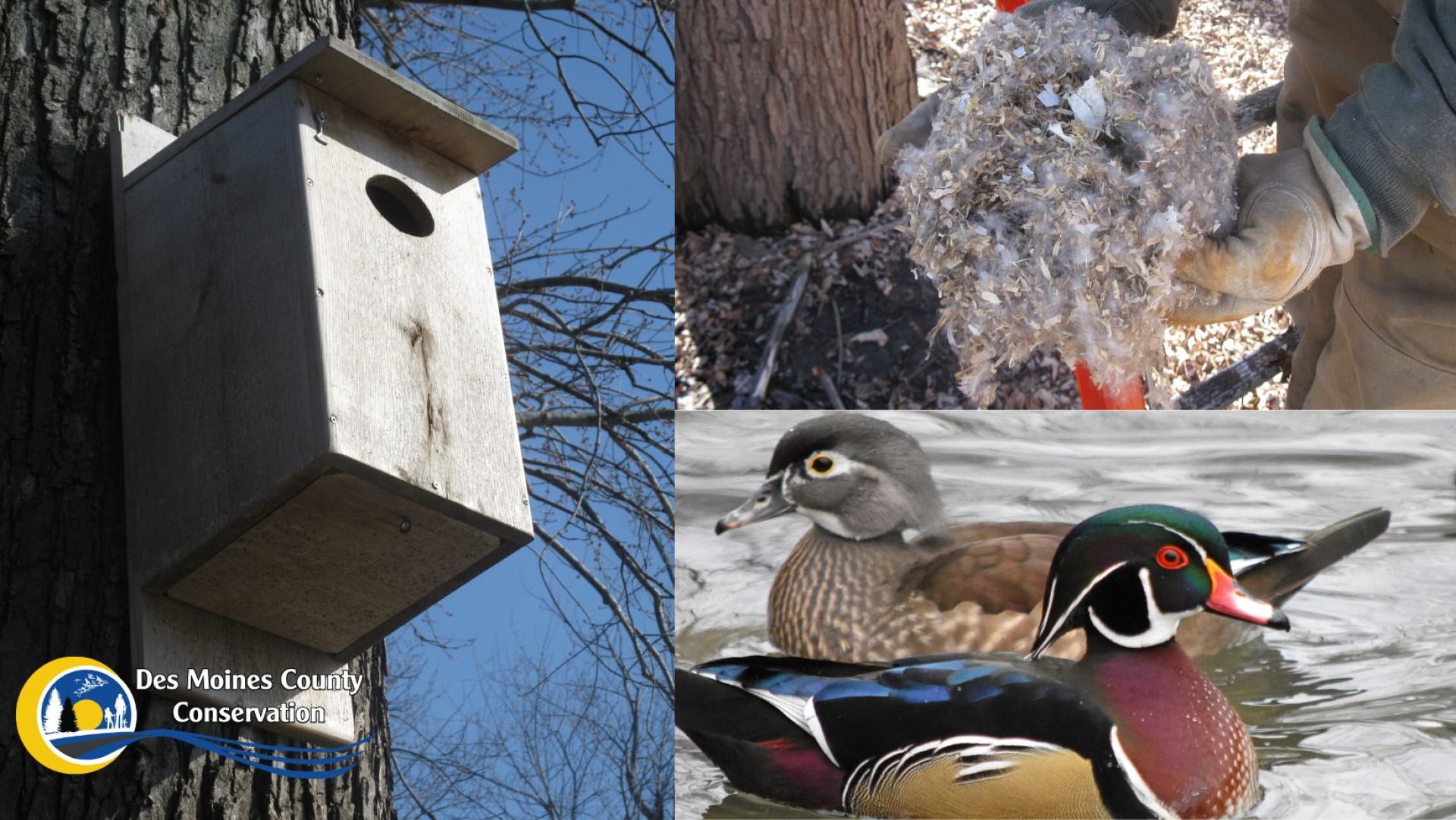 Spring Cleaning Blog Des Moines County Conservation