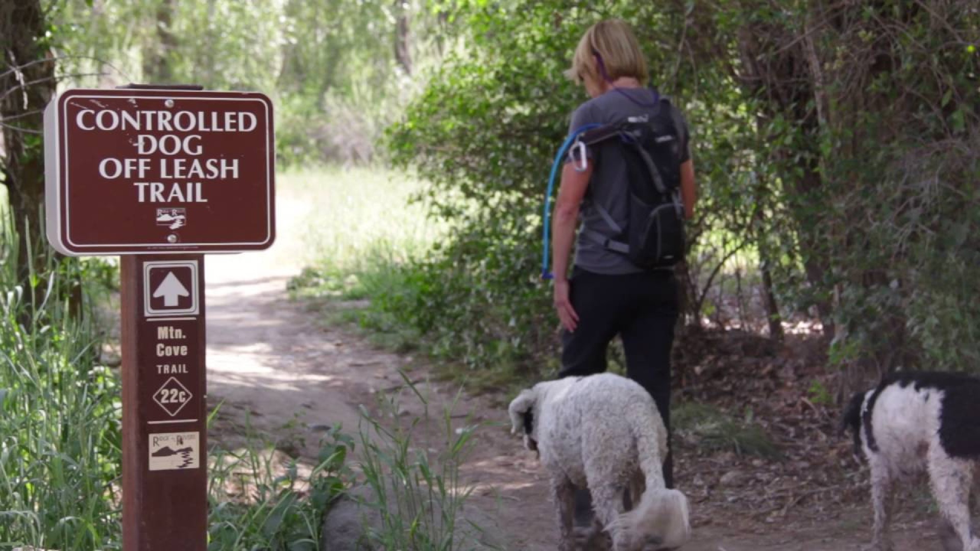 Off leash trail sign